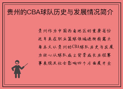 贵州的CBA球队历史与发展情况简介